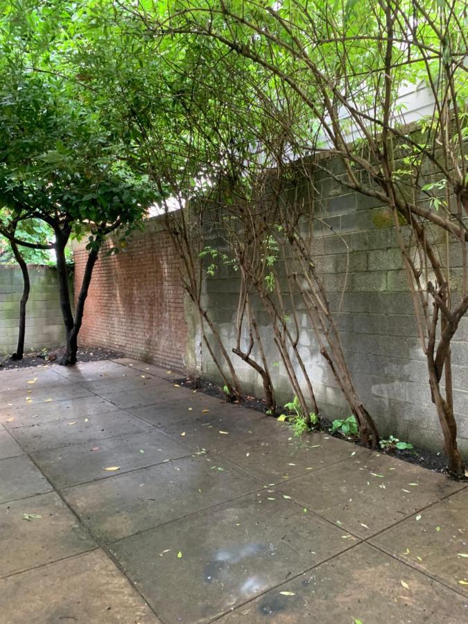 Renovated English Basement 2Bdrm Home Near Metro Washington Exterior foto